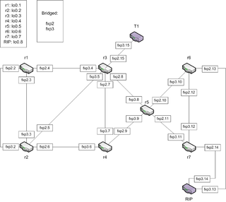 JNCIP-M lab with RIP router