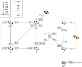 JNCIP-M lab with OSPF router